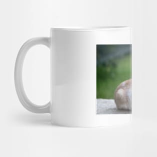 Cat Mug